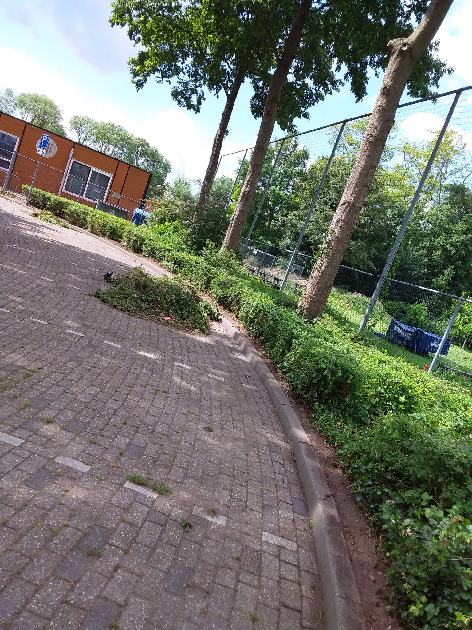 Garden project