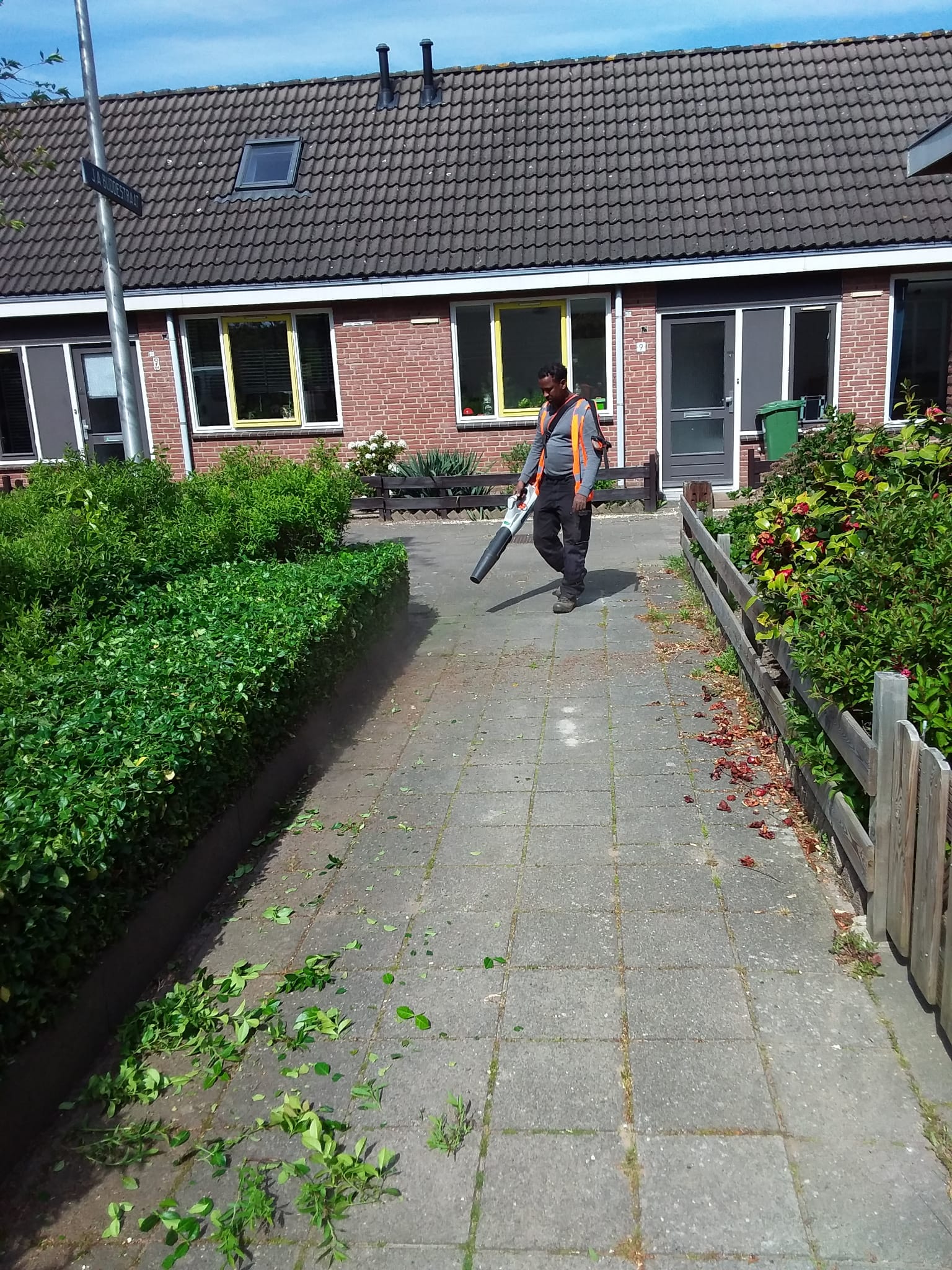 Garden project