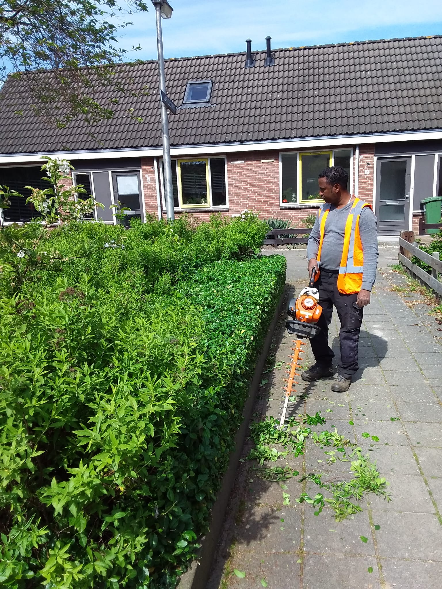 Haagonderhoud bij woning