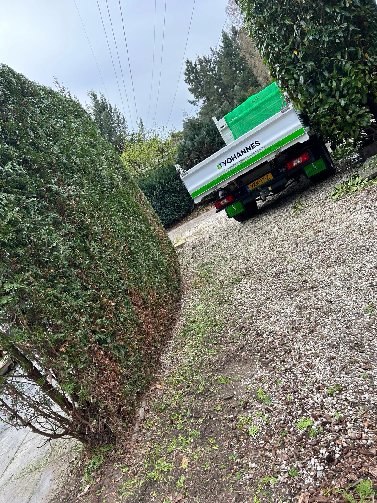 Garden project